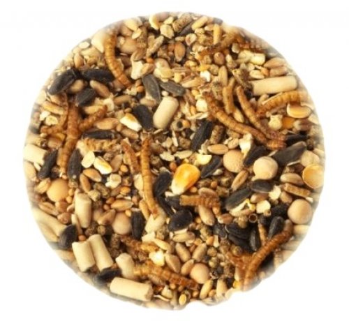 Premium Bird Seed Mix with Mealworms